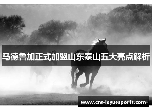 马德鲁加正式加盟山东泰山五大亮点解析