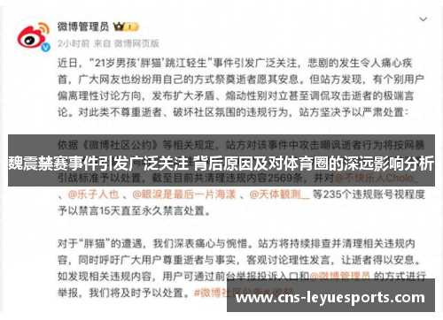 魏震禁赛事件引发广泛关注 背后原因及对体育圈的深远影响分析