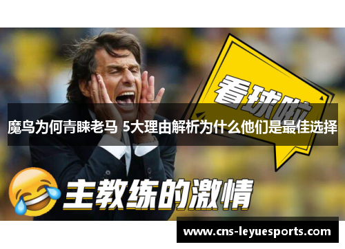 魔鸟为何青睐老马 5大理由解析为什么他们是最佳选择