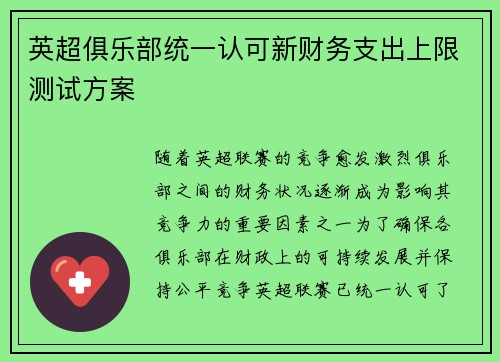 英超俱乐部统一认可新财务支出上限测试方案 英超俱乐部统一认可新财务支出上限测试方案